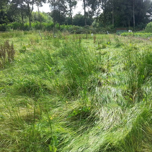 nieuwe tuin