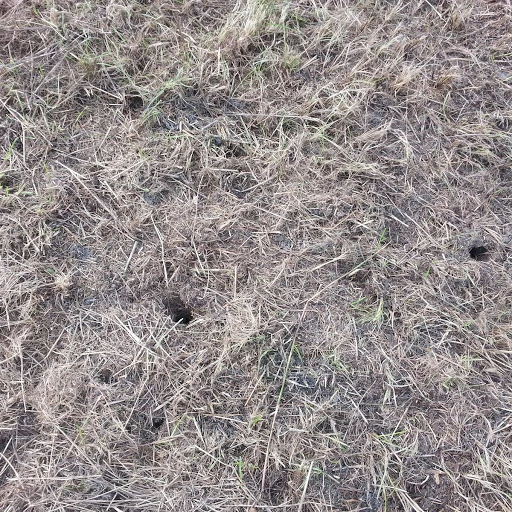 nieuwe tuin